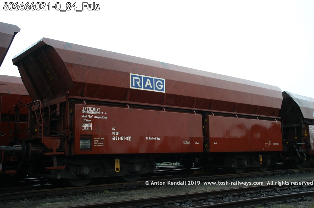 806666021-0_84_Fals.jpg